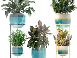collection plants 3D Model