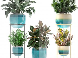 collection plants 3D Model