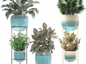 collection plants 3D Model