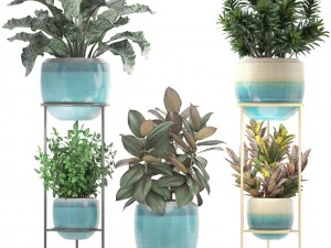 collection plants 3D Model