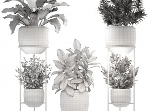 collection plants 3D Model