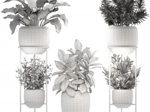 collection plants 3D Model
