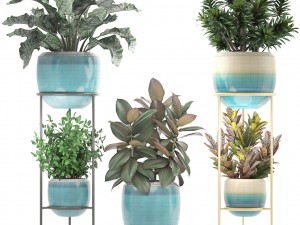 collection plants 3D Model
