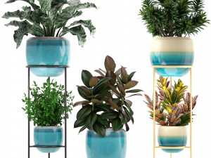 collection plants 3D Model