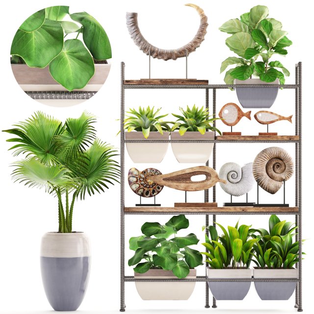rack with the decor of figurines and plants Modelo 3D .c4d .max .obj .3ds .fbx .stl .blend 