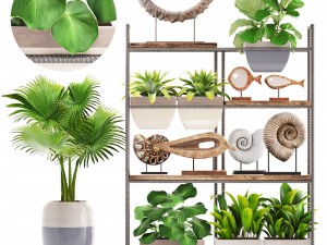 rack with the decor of figurines and plants 3D Model