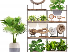 rack with the decor of figurines and plants Modelo 3D
