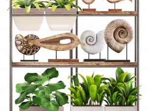 rack with the decor of figurines and plants Modelo 3D
