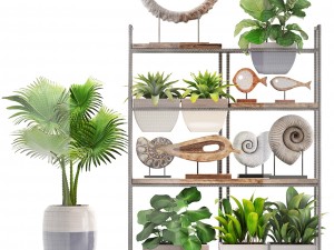 rack with the decor of figurines and plants Modelo 3D