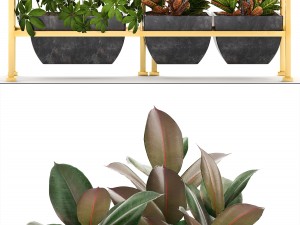 rack with the decor of figurines and plants Modèle 3D