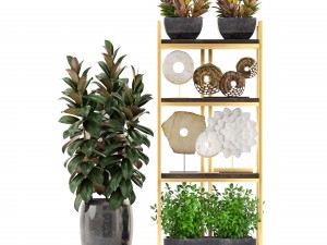 rack with the decor of figurines and plants Model 3D
