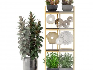 rack with the decor of figurines and plants Model 3D