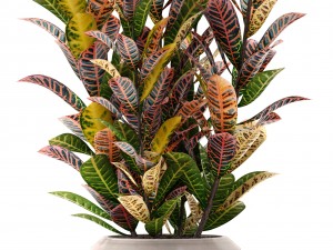 rack with the decor of figurines and plants Modèle 3D
