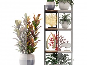 rack with the decor of figurines and plants Modèle 3D