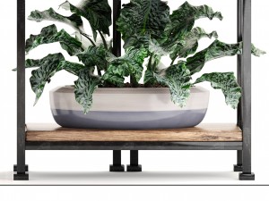 rack with the decor of figurines and plants Modèle 3D