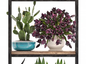 rack with the decor of figurines and plants 3D Модель