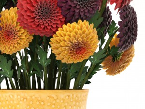 bouquet of flowers dahlias 3D मॉडल