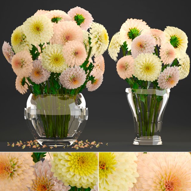 bouquet of flowers dahlias 3D Model .c4d .max .obj .3ds .fbx .stl .blend 