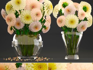 bouquet of flowers dahlias Model 3D