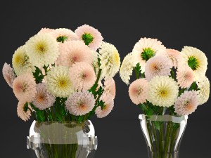 bouquet of flowers dahlias 3D Model