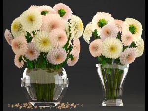 bouquet of flowers dahlias 3D Model