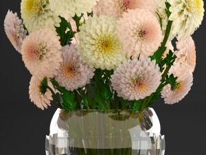 bouquet of flowers dahlias 3D Model