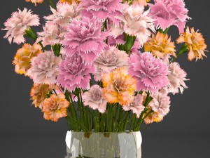bouquet of flowers dianthus Model 3D