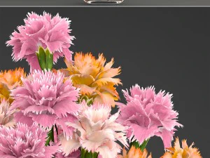 bouquet of flowers dianthus 3D Model