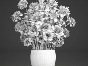 bouquet of flowers dianthus 3D Model