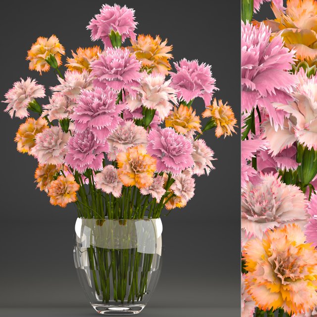 bouquet of flowers dianthus Model 3D .c4d .max .obj .3ds .fbx .stl .blend 