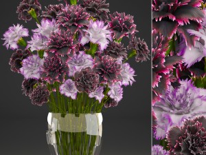 bouquet of flowers dianthus 3D Model