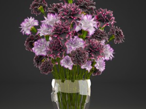 bouquet of flowers dianthus 3D Model