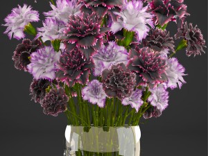 bouquet of flowers dianthus 3D Model