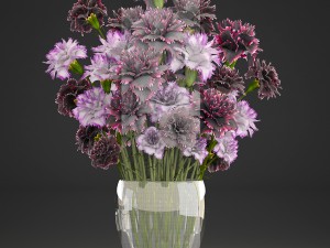 bouquet of flowers dianthus 3D Model