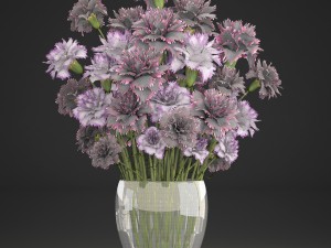 bouquet of flowers dianthus 3D Model