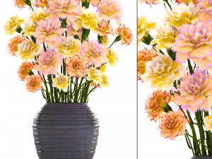 bouquet of flowers carnation 3D Model