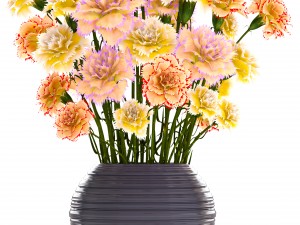 bouquet of flowers carnation 3D Model