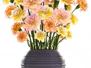 bouquet of flowers carnation 3D Model