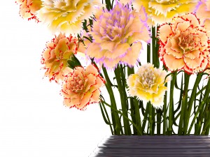 bouquet of flowers carnation 3D Model