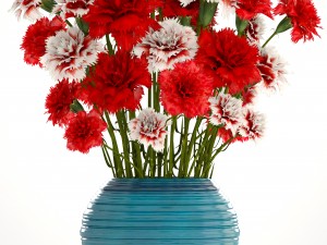 bouquet of flowers red carnation 3Dモデル