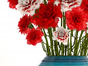 bouquet of flowers red carnation 3Dモデル
