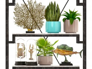 rack with the decor of figurines and plants 3D Model