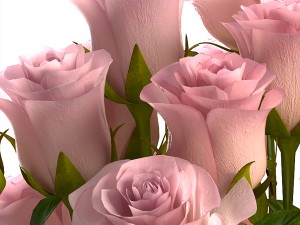 bouquet of roses 3Dモデル