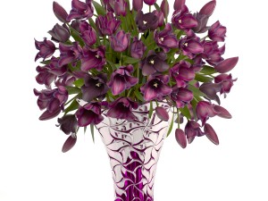collection of bouquets of tulips 3D 모델