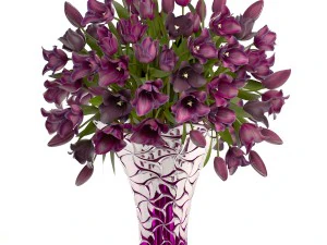 collection of bouquets of tulips 3D Model