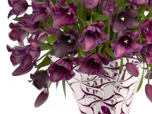 collection of bouquets of tulips 3D Model