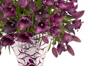 collection of bouquets of tulips 3D Model