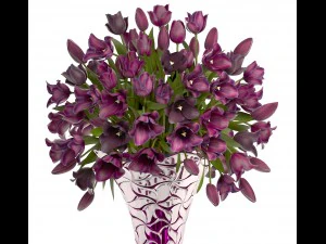 collection of bouquets of tulips 3D Model