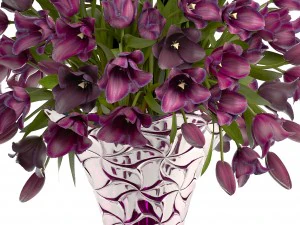 collection of bouquets of tulips 3D Model