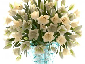 collection of bouquets of tulips 3D Model